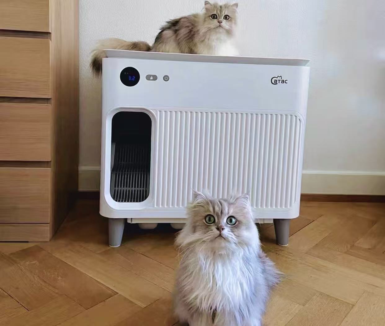 Automatische Katzentoilette im Test – Erfahrung mit zwei Katzen