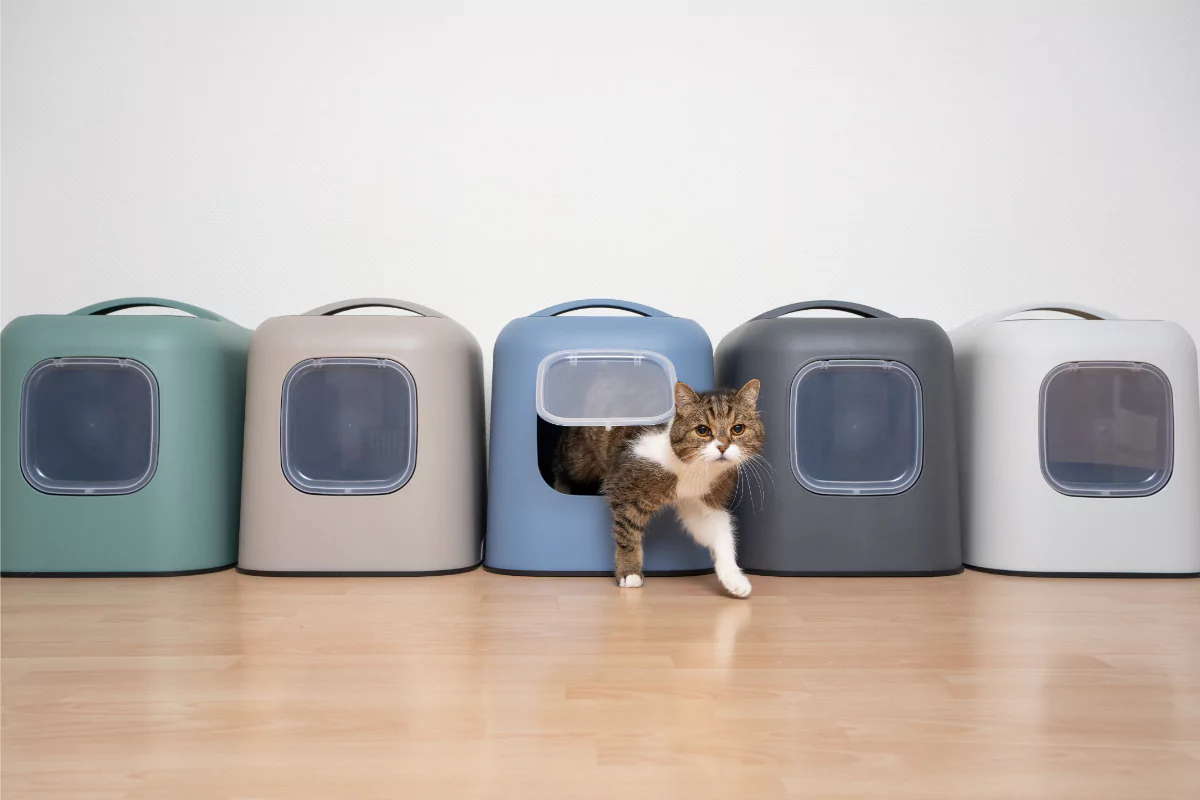 Die besten Katzentoiletten für jedes Zuhause: Sauberkeit und Komfort für Ihre Katze