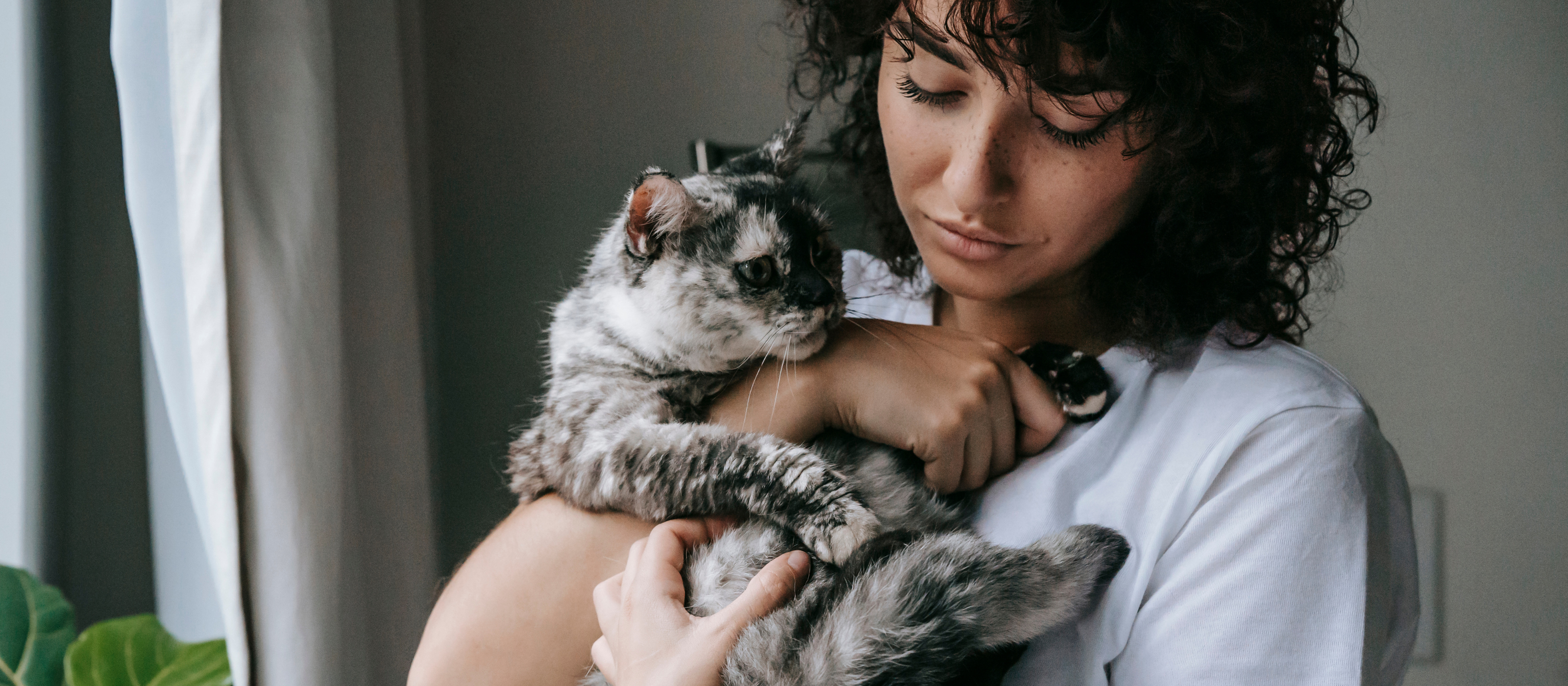 Die Bedeutung der Luftqualität in Haushalten mit Haustieren