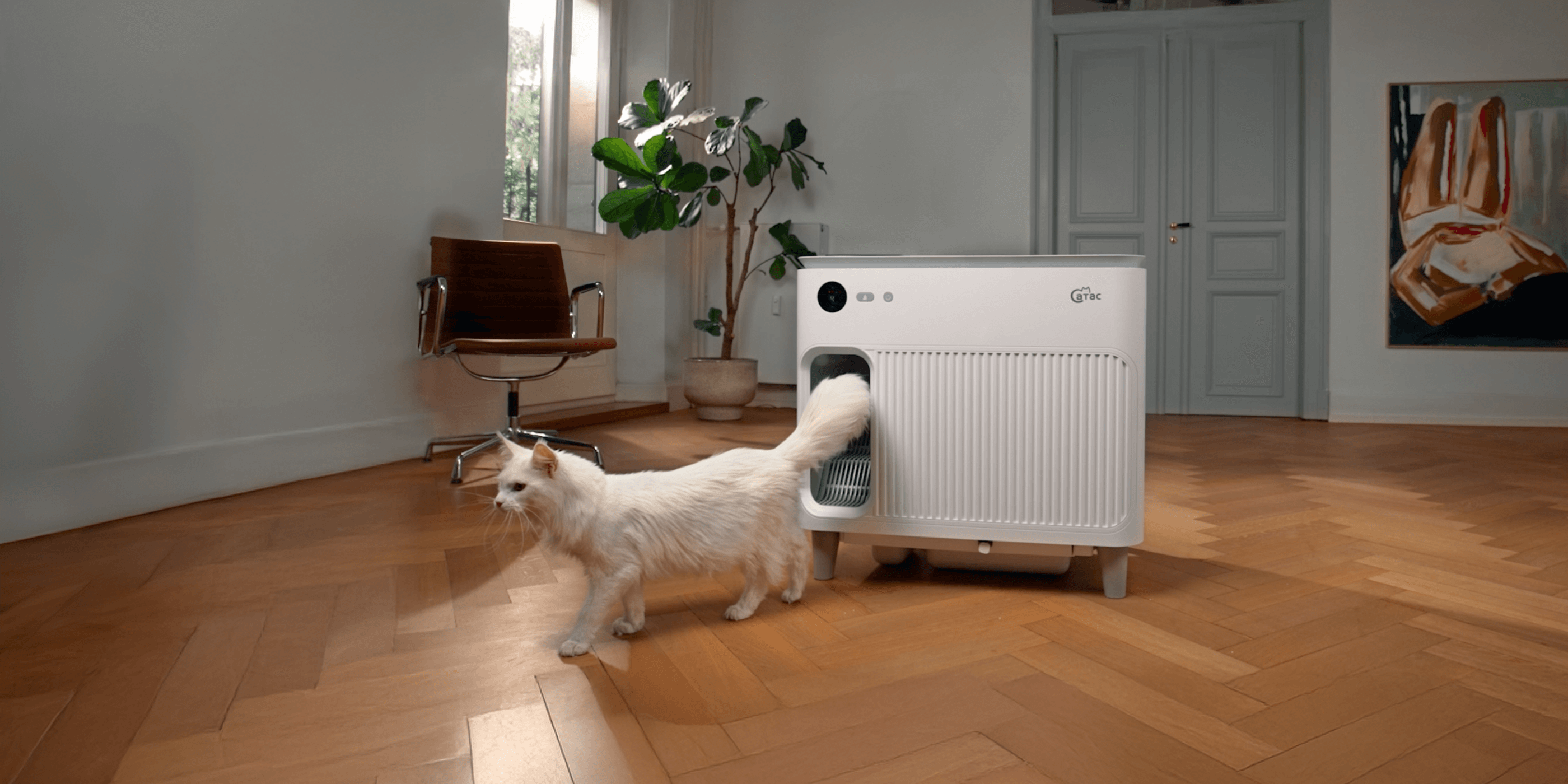 Warum die Catac Cleanbox die Zukunft der Katzentoilette ist