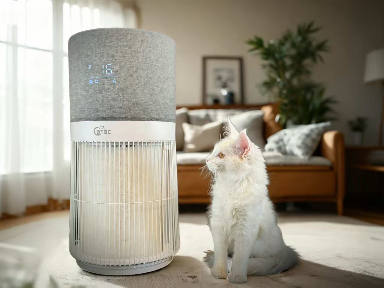 So wählen Sie den richtigen Luftreiniger für Ihr Zuhause