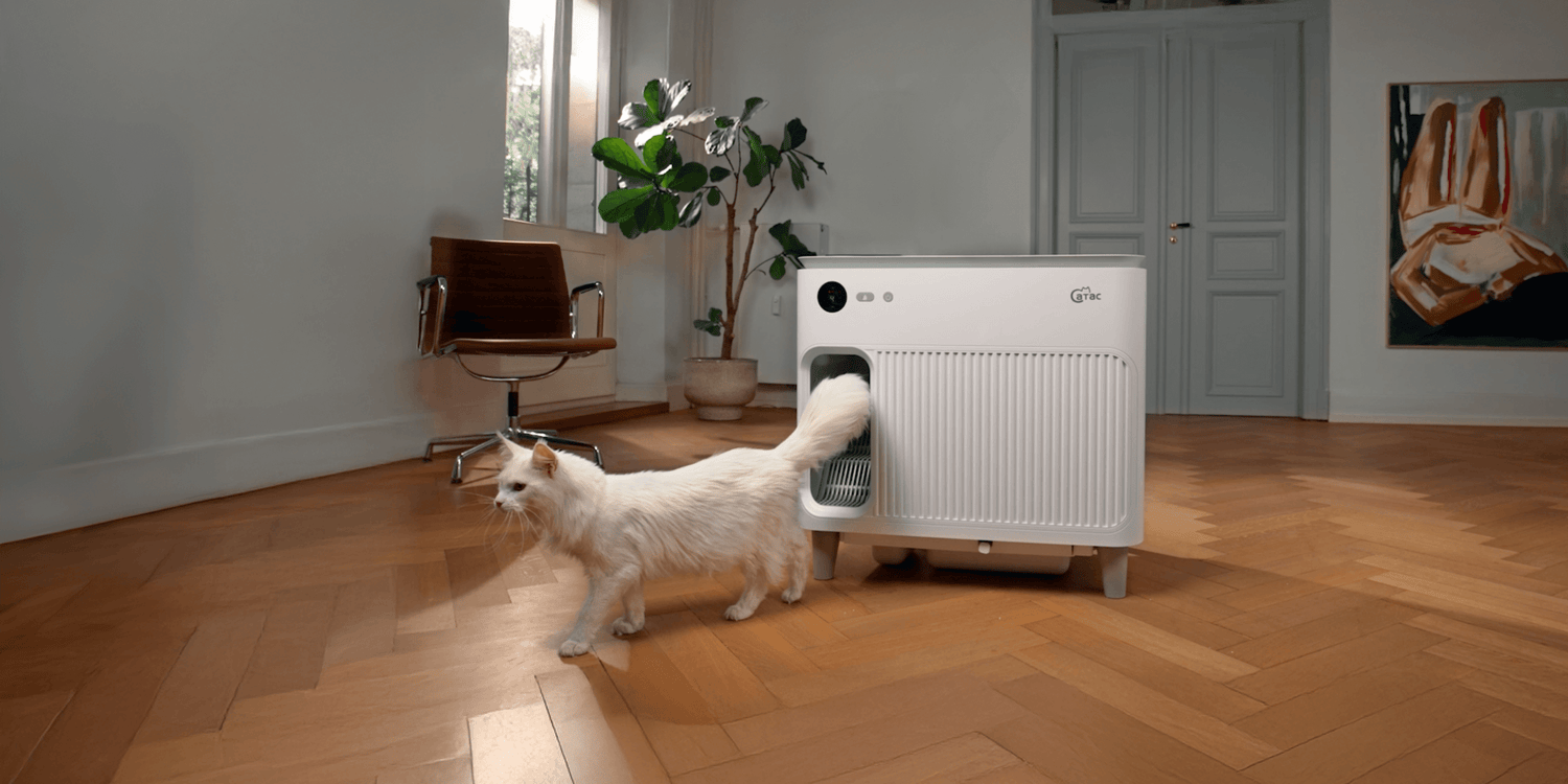 Warum die Catac Cleanbox die Zukunft der Katzentoilette ist