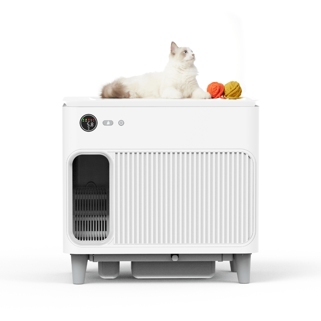 Catac24 Grau / Kunststoff Catac Cleanbox Classic Katzentoilette